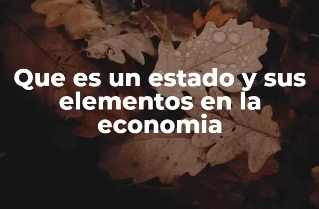 Que es un Estado y Sus Elementos en la Economia