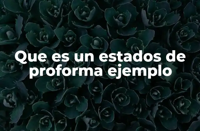 Que es un Estados de Proforma Ejemplo 2 Cómo los estados de proforma influyen en la toma de decisiones empresariales