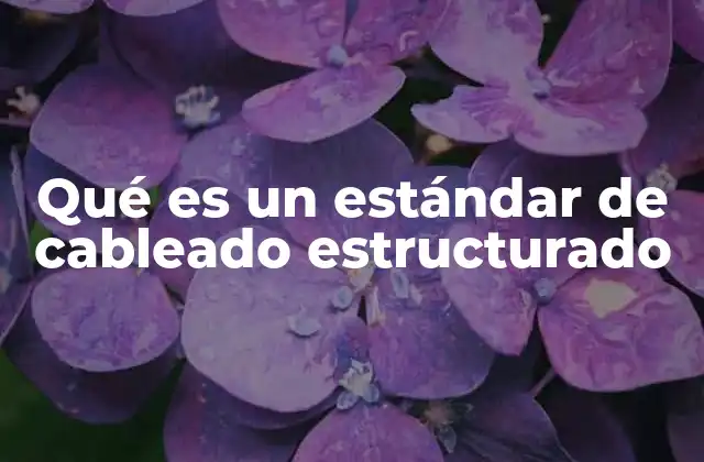 Qué es un Estándar de Cableado Estructurado