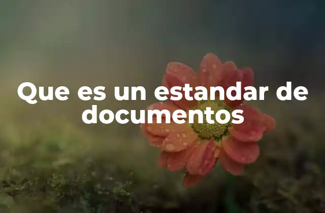 Que es un Estandar de Documentos