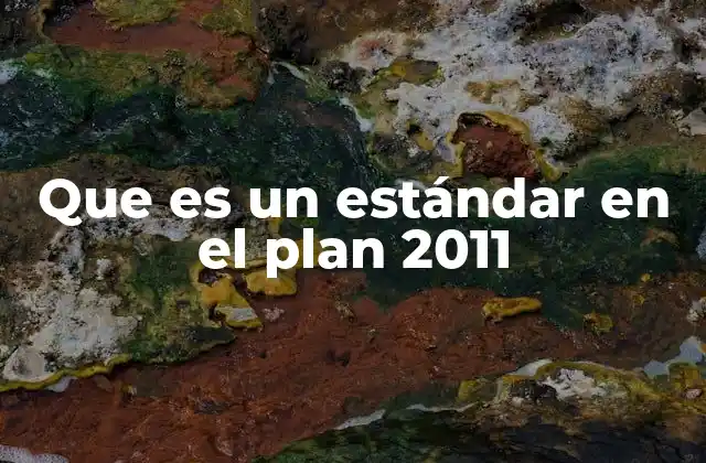 Que es un Estándar en el Plan 2011