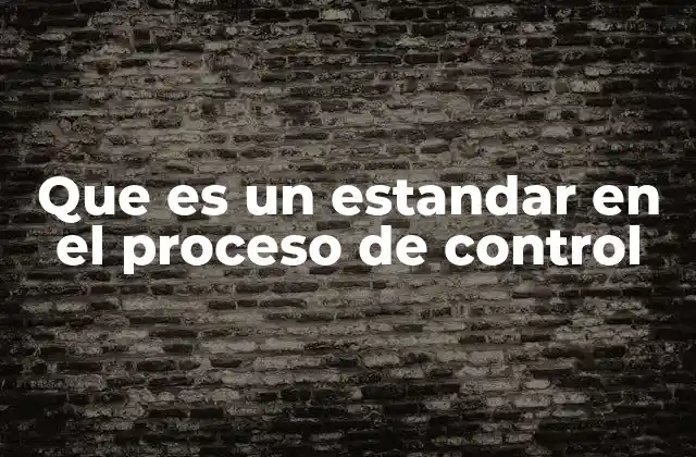 Que es un Estandar en el Proceso de Control
