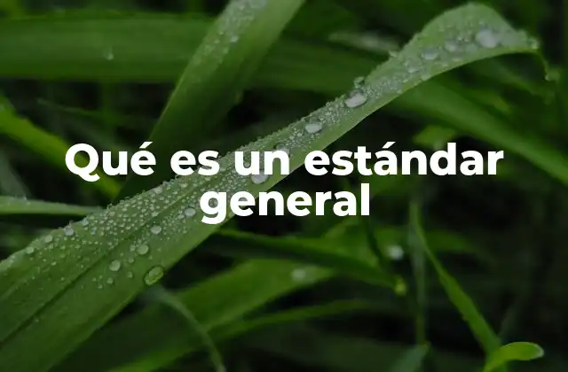 Qué es un Estándar General