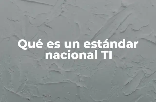 Qué es un Estándar Nacional Ti