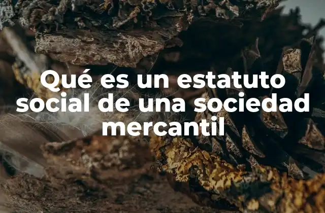 Qué es un Estatuto Social de una Sociedad Mercantil