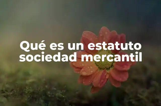 Qué es un Estatuto Sociedad Mercantil
