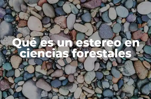 Qué es un Estereo en Ciencias Forestales 2 Aplicaciones de los estereos en el análisis de ecosistemas forestales
