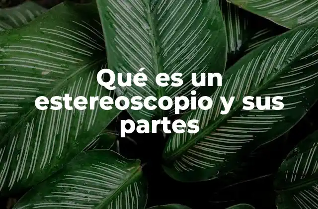 Qué es un Estereoscopio y Sus Partes