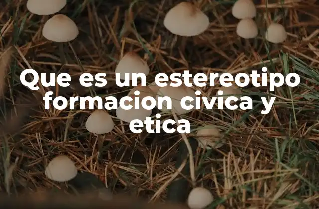 Que es un Estereotipo Formacion Civica y Etica