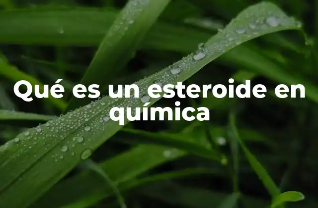 Qué es un Esteroide en Química