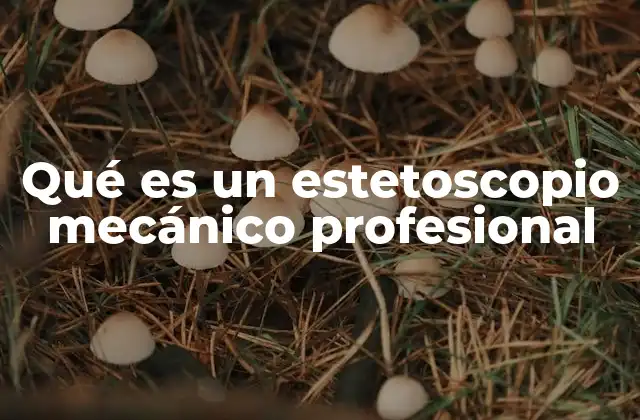 Qué es un Estetoscopio Mecánico Profesional