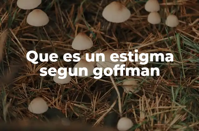 Que es un Estigma Segun Goffman