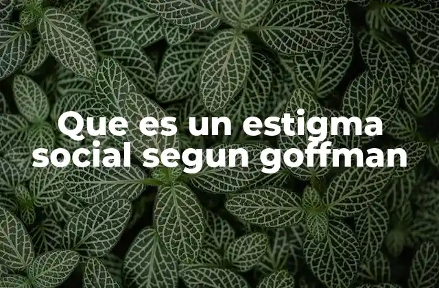 Que es un Estigma Social Segun Goffman