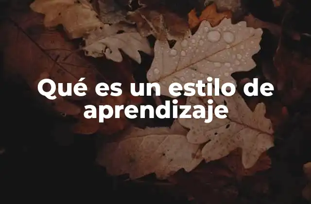 Qué es un Estilo de Aprendizaje