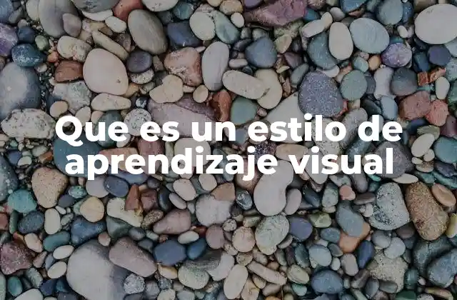 Que es un Estilo de Aprendizaje Visual