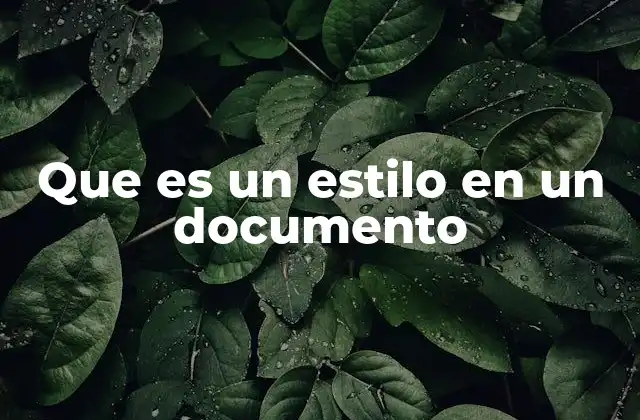 Que es un Estilo en un Documento