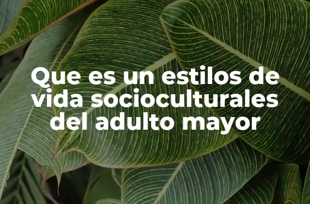 Que es un Estilos de Vida Socioculturales Del Adulto Mayor