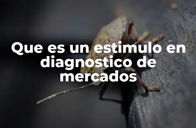Que es un Estimulo en Diagnostico de Mercados
