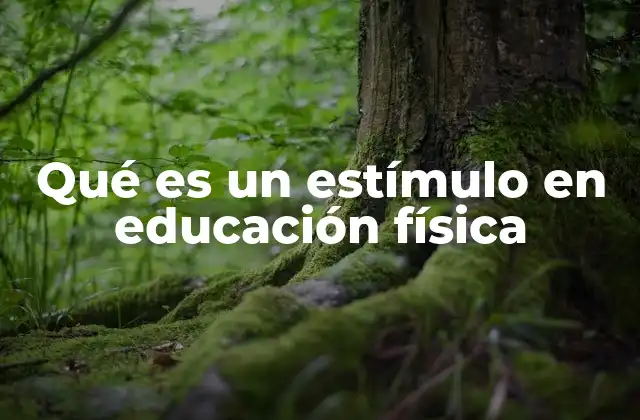 Qué es un Estímulo en Educación Física