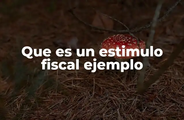 Que es un Estimulo Fiscal Ejemplo