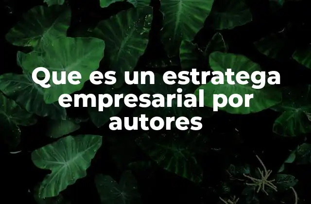 Que es un Estratega Empresarial por Autores