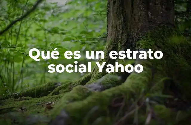 Qué es un Estrato Social Yahoo