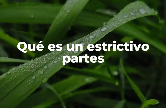Qué es un Estrictivo Partes