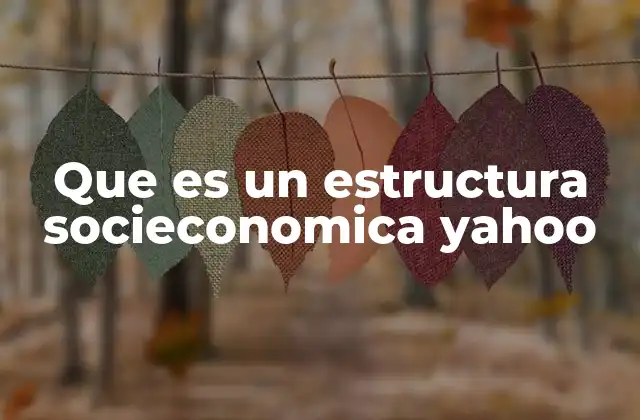 Que es un Estructura Socieconomica Yahoo
