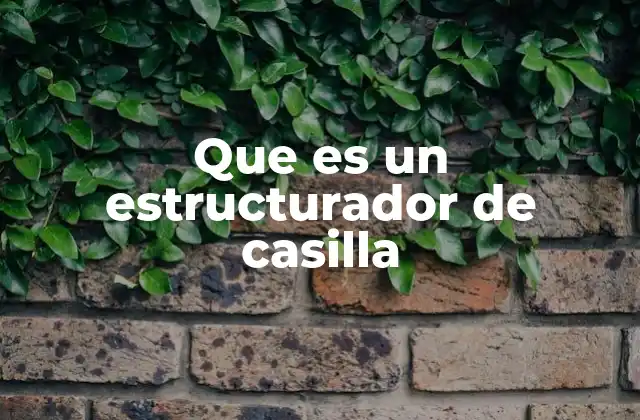 Que es un Estructurador de Casilla