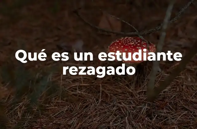 Qué es un Estudiante Rezagado
