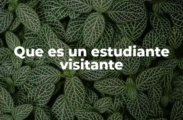 Que es un Estudiante Visitante