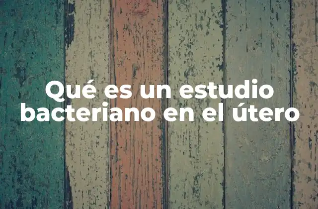 La importancia del equilibrio bacteriano en la salud reproductiva