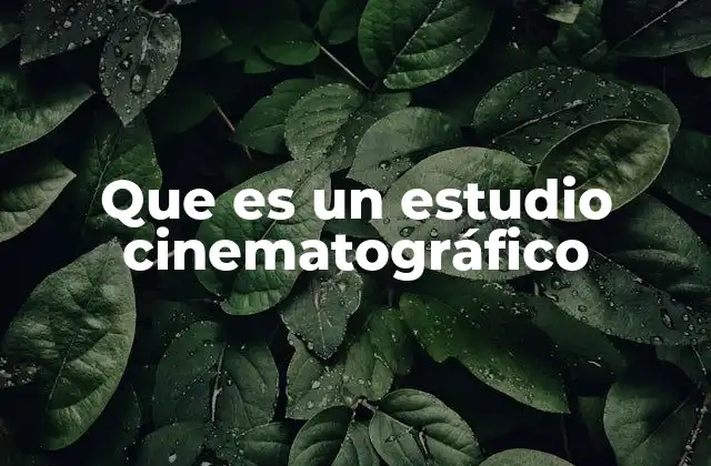 Que es un Estudio Cinematográfico