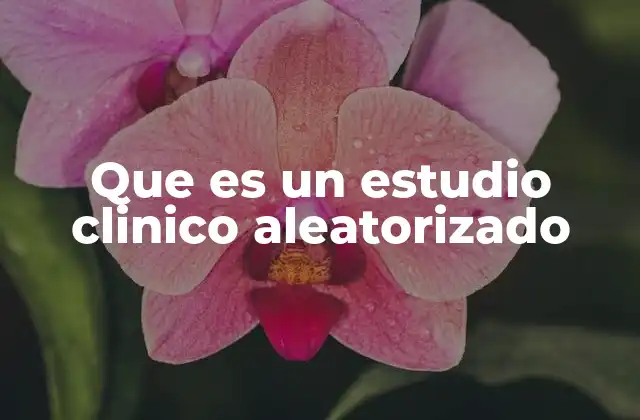 Que es un Estudio Clinico Aleatorizado