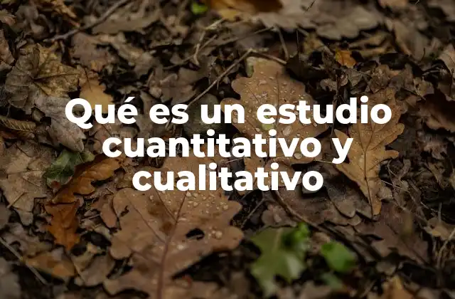Qué es un Estudio Cuantitativo y Cualitativo
