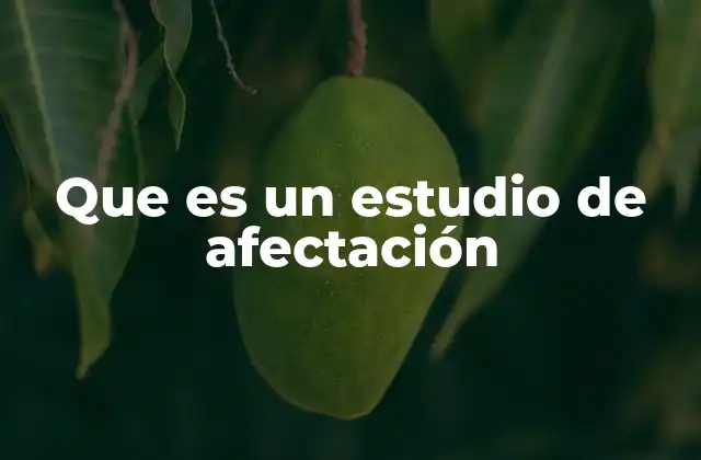 Que es un Estudio de Afectación