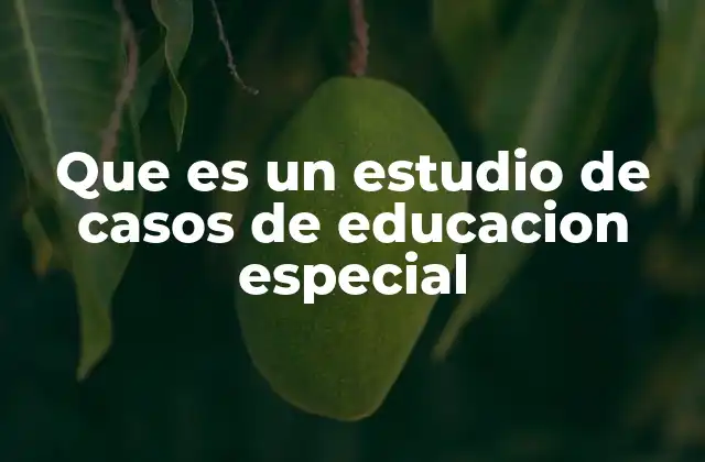 Que es un Estudio de Casos de Educacion Especial