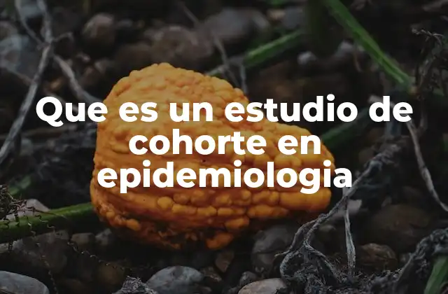 Que es un Estudio de Cohorte en Epidemiologia
