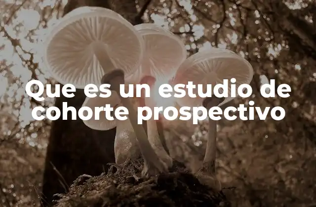 Que es un Estudio de Cohorte Prospectivo 2 Tipos de estudios epidemiológicos y su importancia