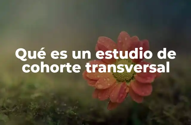 Qué es un Estudio de Cohorte Transversal