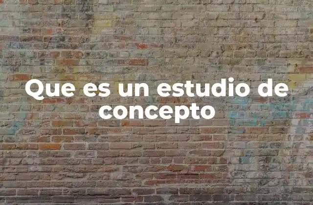 Que es un Estudio de Concepto