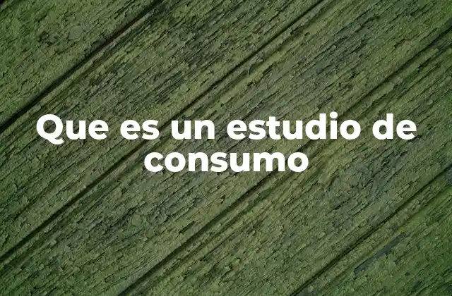 Que es un Estudio de Consumo