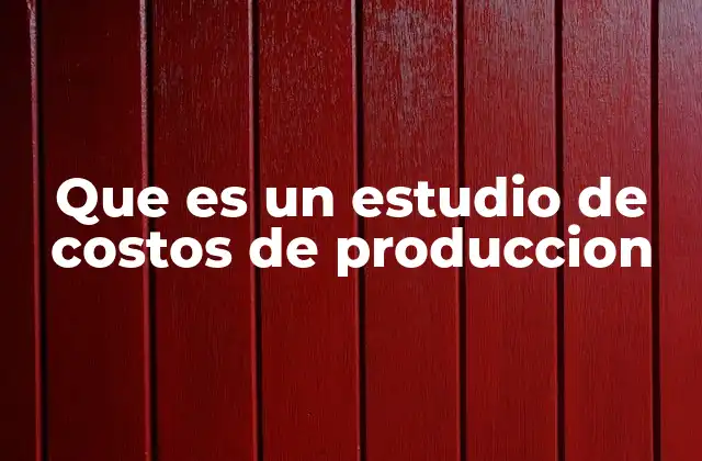 Que es un Estudio de Costos de Produccion