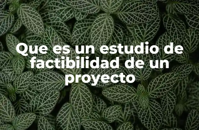 Que es un Estudio de Factibilidad de un Proyecto