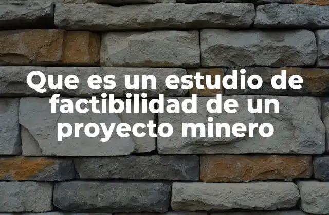 Que es un Estudio de Factibilidad de un Proyecto Minero 2 La importancia de evaluar antes de invertir