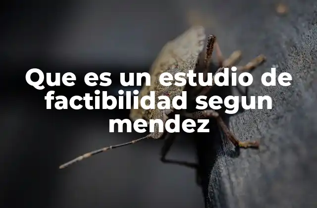 Que es un Estudio de Factibilidad Segun Mendez