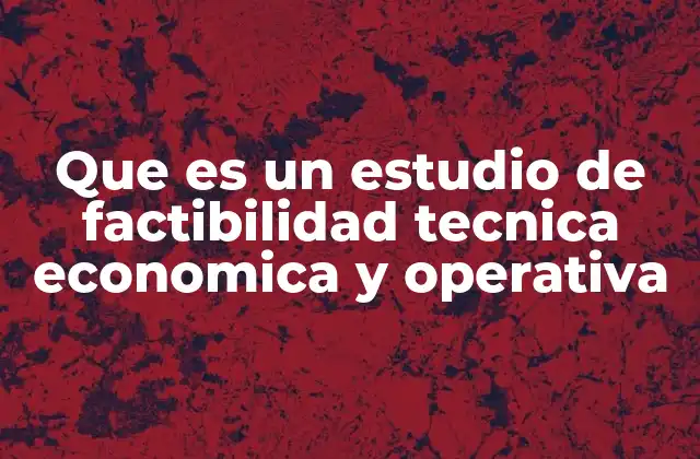 Que es un Estudio de Factibilidad Tecnica Economica y Operativa