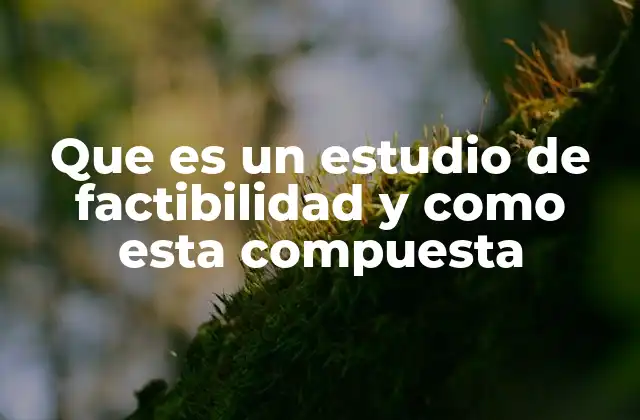 Que es un Estudio de Factibilidad y como Esta Compuesta 2 La importancia de evaluar la viabilidad antes de invertir