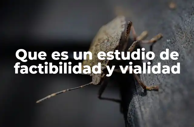 Que es un Estudio de Factibilidad y Vialidad