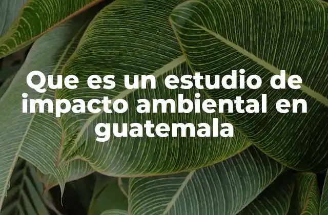 Que es un Estudio de Impacto Ambiental en Guatemala